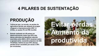 4 PILARES DE SUSTENTAÇÃO
PRODUÇÃO
● Estima-se que, no mundo, as perdas da
agricultura devido aos ataques de pragas
cheguem a impressionantes US$ 1,4
trilhão, ou quase 5% do PIB mundial.
● Estudo realizado em 48 países em
desenvolvimento indica que 25% dos
danos advindos de desastres naturais
ocorridos entre 2003 e 2013 recaíram sobre
a agropecuária, causando prejuízos de US$
70 bilhões. Estima-se que 44% dessas
perdas foram causadas por secas e 39%
por enchentes.
Evitar perdas
- Aumento da
produtividade
 