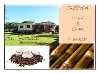 FAZENDA

 CAFÉ
  &
 CANA

A VENDA
 