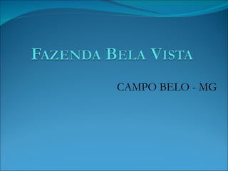CAMPO BELO - MG 