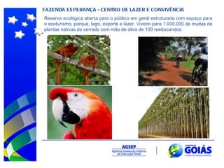 FAZENDA ESPERANÇA - CENTRO DE LAZER E CONVIVÊNCIA Reserva ecológica aberta para o público em geral estruturada com espaço para o ecoturismo, parque, lago, esporte e lazer. Viveiro para 1.000.000 de mudas de plantas nativas do cerrado com mão de obra de 100 reeducandos 