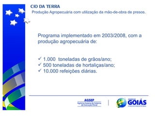 CIO DA TERRA Produção Agropecuária com utilização da mão-de-obra de presos. Programa implementado em 2003/2008, com a produção agropecuária de: 1.000  toneladas de grãos/ano; 500 toneladas de hortaliças/ano; 10.000 refeições diárias. 