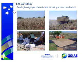 CIO DA TERRA Produção Agropecuária de alta tecnologia com resultados.  