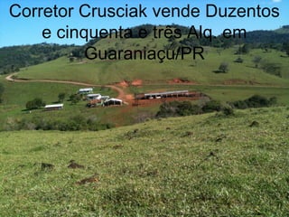 Corretor Crusciak vende Duzentos
e cinquenta e três Alq. em
Guaraniaçu/PR
 