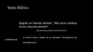 Texto Bíblico
Epígrafe da Fazenda Modelo: “Não porás mordaça
ao boi, enquanto debulha”.
(Deuteronômio, Capítulo XXV, Versículo 4.)
O animal tinha o direito de se alimentar. Amordaçá-lo era
crueldade não
permitida na lei.
 