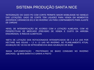 SISTEMA PRODUÇÃO SANTA NICE
•INTEGRAÇÃO DO GADO PO COM CORTE PERMITE MAIOR MOBILIDADE NO MANEJO
DAS LOTAÇÕES. GADO DE CORTE TEM LIQUIDEZ PARA VENDA EM MOMENTOS
ADVERSOS (VERANICOS EX) E NO INVERNO VAI PARA CONFINAMENTO PARA AJUSTE
DE CARGAS


•NÍVEL DE INTENSIFICAÇÃO DE ACORDO COM A LOTAÇÃO ALMEJADA, COM AS
PERSPECTIVAS DE MERCADO (PREVISÃO DE VENDA E CUSTO DA ARROBA
ENGORDADA) E RISCOS CLIMÁTICOS


•META DE LOTAÇÃO DOS ROTACIONADOS INTENSIFICADOS DE 4 A 4,5 UAS POR
HECTARE NAS ÁGUAS – 1,2 A 1,5 UAS NO INVERNO. NO PLANEJAMENTO ATUAL
ADUBAÇÃO DE 120 KG DE NITROGÊNEO/HA MAIS ADUBAÇÃO DE BASE


•BAIXA SUPLEMENTAÇÃO - PROTEÍNADO DE BAIXO CONSUMO NO INVERNO
(MACHOS) - @ MAIS BARATA É GANHA A PASTO
 