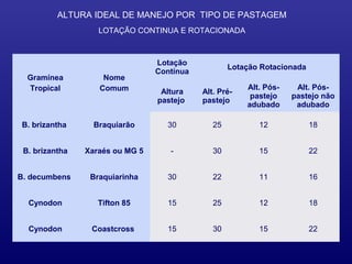 ALTURA IDEAL DE MANEJO POR TIPO DE PASTAGEM
                   LOTAÇÃO CONTINUA E ROTACIONADA



                                 Lotação
                                                    Lotação Rotacionada
                                 Contínua
  Gramínea          Nome
  Tropical         Comum                                Alt. Pós-    Alt. Pós-
                                  Altura    Alt. Pré-
                                                         pastejo    pastejo não
                                 pastejo    pastejo
                                                        adubado      adubado

B. brizantha      Braquiarão       30          25          12             18


 B. brizantha   Xaraés ou MG 5      -          30          15             22


B. decumbens     Braquiarinha      30          22          11             16


  Cynodon          Tifton 85       15          25          12             18


  Cynodon        Coastcross        15          30          15             22
 