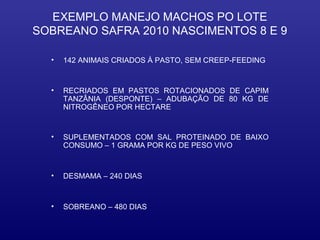 EXEMPLO MANEJO MACHOS PO LOTE
SOBREANO SAFRA 2010 NASCIMENTOS 8 E 9

  •   142 ANIMAIS CRIADOS À PASTO, SEM CREEP-FEEDING


  •   RECRIADOS EM PASTOS ROTACIONADOS DE CAPIM
      TANZÂNIA (DESPONTE) – ADUBAÇÃO DE 80 KG DE
      NITROGÊNEO POR HECTARE


  •   SUPLEMENTADOS COM SAL PROTEINADO DE BAIXO
      CONSUMO – 1 GRAMA POR KG DE PESO VIVO



  •   DESMAMA – 240 DIAS



  •   SOBREANO – 480 DIAS
 