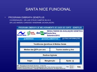 SANTA NICE FUNCIONAL

•   PROGRAMA EMBRAPA GENEPLUS
    COORDENAÇÃO - DR LUIZ OTÁVIO CAMPOS SILVA E
    DR LUIZ AMADEU CARDOSO VENDRAME (ACASALADOR)
 