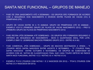 SANTA NICE FUNCIONAL – GRUPOS DE MANEJO
•   FASE DE CRIA (NASCIMENTO ATÉ A DESMAMA) - OS GRUPOS SÃO FORMADOS DE ACORDO
    COM A SEQUÊNCIA DOS NASCIMENTO E DIVIDOS ENTRE FILHOS DE VACAS (VC) E
    PRIMÍPARAS (PR).


•   GRUPO DE VACAS ENTRE 50 A 70 ANIMAIS. GRUPO DE PRIMÍPARAS ATÉ 50 ANIMAIS -
    EXEMPLO VC0112 (PRIMEIRO GRUPO DE FILHOS DE VACAS NASCIMENTO 2012) – PR0112
    (PRIMEIRO GRUPO DE FILHOS DE PRIMÍPARAS NASCIMENTO 2012)


•   FASE RECRIA (PÓS DESMAMA ATÉ SOBREANO) - OS GRUPOS SÃO FORMADOS SEGUINDO O
    CRITÉRIO DE SEQUENCIA DE NASCIMENTO , SEXO E QUANTIDADE IDEAL POR LOTE.
    EXEMPLO SM0112 (SOBREANO MACHOS PRIMEIRO GRUPO 2012 – ENTRE 40 A 60)


•   FASE COMERCIAL (PÓS SOBREANO) – GRUPO DE MACHOS DESTINADOS A VENDA – TI
    (TOUROS INÍCIO SAFRA NASCIDOS ENTRE AGOSTO E SETEMBRO) – TF (TOUROS FINAL
    SAFRA NASCIDOS ENTRE OUTUBRO E NOVEMBRO). OS GRUPOS SE SUBDIVIDEM DE
    ACORDO COM AS NOTAS DE CLASSIFICAÇAO FINAL QUE CADA TOURO OBTEVE NO ÍNDICE
    SANTA NICE FUNCIONAL (NOTAS 1 E 2 / NOTAS 3 E 4 / NOTAS 5 E 6)


•   EXEMPLO TI1212 (TOUROS COM NOTAS 1 E 2 NASCIDOS EM 2012) – TF3412 (TOUROS COM
    NOTAS 3 E 4 NASCIDOS EM 2012)
 