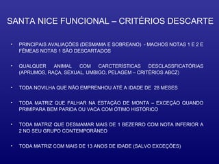SANTA NICE FUNCIONAL – CRITÉRIOS DESCARTE

•   PRINCIPAIS AVALIAÇÕES (DESMAMA E SOBREANO) - MACHOS NOTAS 1 E 2 E
    FÊMEAS NOTAS 1 SÃO DESCARTADOS


•   QUALQUER    ANIMAL   COM    CARCTERÍSTICAS    DESCLASSFICATÓRIAS
    (APRUMOS, RAÇA, SEXUAL, UMBIGO, PELAGEM – CRITÉRIOS ABCZ)


•   TODA NOVILHA QUE NÃO EMPRENHOU ATÉ A IDADE DE 28 MESES


•   TODA MATRIZ QUE FALHAR NA ESTAÇÄO DE MONTA – EXCEÇÄO QUANDO
    PRIMÍPARA BEM PARIDA OU VACA COM ÓTIMO HISTÓRICO


•   TODA MATRIZ QUE DESMAMAR MAIS DE 1 BEZERRO COM NOTA INFERIOR A
    2 NO SEU GRUPO CONTEMPORÂNEO


•   TODA MATRIZ COM MAIS DE 13 ANOS DE IDADE (SALVO EXCEÇÕES)
 