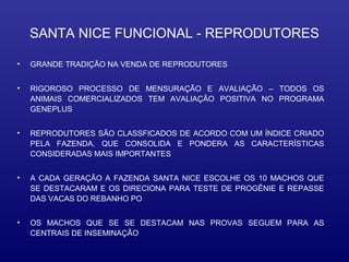 SANTA NICE FUNCIONAL - REPRODUTORES

•   GRANDE TRADIÇÃO NA VENDA DE REPRODUTORES


•   RIGOROSO PROCESSO DE MENSURAÇÃO E AVALIAÇÃO – TODOS OS
    ANIMAIS COMERCIALIZADOS TEM AVALIAÇÃO POSITIVA NO PROGRAMA
    GENEPLUS


•   REPRODUTORES SÃO CLASSFICADOS DE ACORDO COM UM ÍNDICE CRIADO
    PELA FAZENDA, QUE CONSOLIDA E PONDERA AS CARACTERÍSTICAS
    CONSIDERADAS MAIS IMPORTANTES


•   A CADA GERAÇÃO A FAZENDA SANTA NICE ESCOLHE OS 10 MACHOS QUE
    SE DESTACARAM E OS DIRECIONA PARA TESTE DE PROGÊNIE E REPASSE
    DAS VACAS DO REBANHO PO


•   OS MACHOS QUE SE SE DESTACAM NAS PROVAS SEGUEM PARA AS
    CENTRAIS DE INSEMINAÇÃO
 