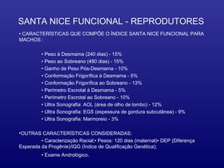 SANTA NICE FUNCIONAL - REPRODUTORES
• CARACTERÍSTICAS QUE COMPÕE O ÍNDICE SANTA NICE FUNCIONAL PARA
MACHOS :

         • Peso à Desmama (240 dias) - 15%
         • Peso ao Sobreano (480 dias) - 15%
         • Ganho de Peso Pós-Desmama - 10%
         • Conformação Frigorífica à Desmama - 5%
         • Conformação Frigorífica ao Sobreano - 13%
         • Perímetro Escrotal à Desmama - 5%
         • Perímetro Escrotal ao Sobreano - 10%
         • Ultra Sonografia: AOL (área de olho de lombo) - 12%
         • Ultra Sonografia: EGS (espessura de gordura subcutânea) - 9%
         • Ultra Sonografia: Marmoreio - 3%

•OUTRAS CARACTERÍSTICAS CONSIDERADAS:
         • Caracterização Racial;• Pesos: 120 dias (maternal)• DEP (Diferença
Esperada da Progênie)/IQG (Índice de Qualificação Genética);
         • Exame Andrológico.
 