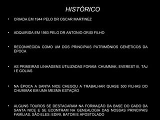 HISTÓRICO
•   CRIADA EM 1944 PELO DR OSCAR MARTINEZ


•   ADQUIRIDA EM 1983 PELO DR ANTONIO GRISI FILHO


•   RECONHECIDA COMO UM DOS PRINCIPAIS PATRIMÔNIOS GENÉTICOS DA
    ÉPOCA



•   AS PRIMEIRAS LINHAGENS UTILIZADAS FORAM: CHUMMAK, EVEREST III, TAJ
    I E GOLIAS



•   NA ÉPOCA A SANTA NICE CHEGOU A TRABALHAR QUASE 500 FILHAS DO
    CHUMMAK EM UMA MESMA ESTAÇÃO



•   ALGUNS TOUROS SE DESTACARAM NA FORMAÇÃO DA BASE DO GADO DA
    SANTA NICE E SE ECONTRAM NA GENEALOGIA DAS NOSSAS PRINCIPAIS
    FAMÍLIAS. SÃO ELES: EDIRI, BATOM E APOSTOLADO
 