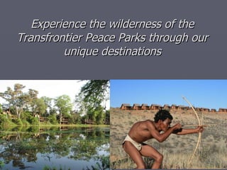 Experience the wilderness of the Transfrontier Peace Parks through our unique destinations 