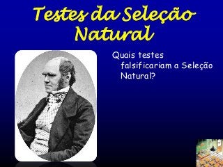Testes da Seleção
Natural
Quais testes
falsificariam a Seleção
Natural?

 