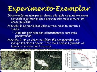Quanto Detalhe é O Suficiente?
O protocolo é como o experimento ou observação é
realizado
O protocolo precisa incluir todos os detalhes relevantes de
modo que o pesquisador original ou outros podem repetir
o experimento ou a observação no futuro
Na prática, porém, muito coisa não fica explicita num
protocolo que depende do conhecimento do leitor
Consequentemente, dois indivíduos usando o “mesmo"
protocolo não sempre repetem os resultados dos outros
Na realidade existe uma arte de incluir todo detalhe
"relevante“ num protocolo menos compreensivo
Minimamente, o pesquisador deve escrever o que foi feito
de modo que permite repetir o protocolo no futuro
Quanto mais compreensivo o protocolo, menos conhecimento
do leitor é necessário

 