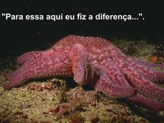 "Para essa aqui eu fiz a diferença...". 