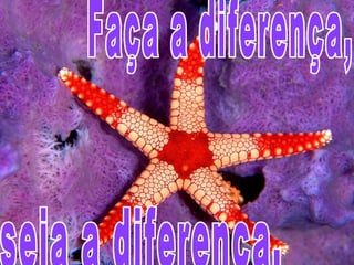 seja a diferença.  Faça a diferença,  