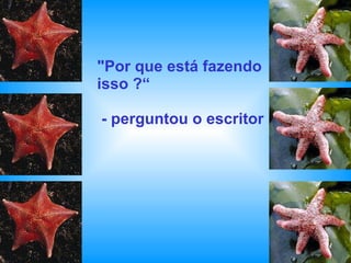 "Por que está fazendo isso ?“  - perguntou o escritor 