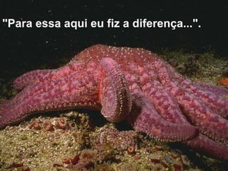 "Para essa aqui eu fiz a diferença...". 