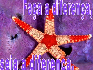 seja a diferença.  Faça a diferença,  