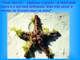 "Você não vê ! - explicou o jovem - A maré está baixa e o sol está brilhando. Elas irão secar e morrer se ficarem aqui na areia". 