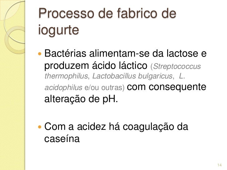 Bactérias Do Iogurte – Fermentação: como os microrganismos transformam ...