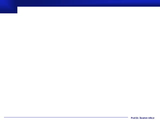 Prof.Dr. İbrahim USLU
 