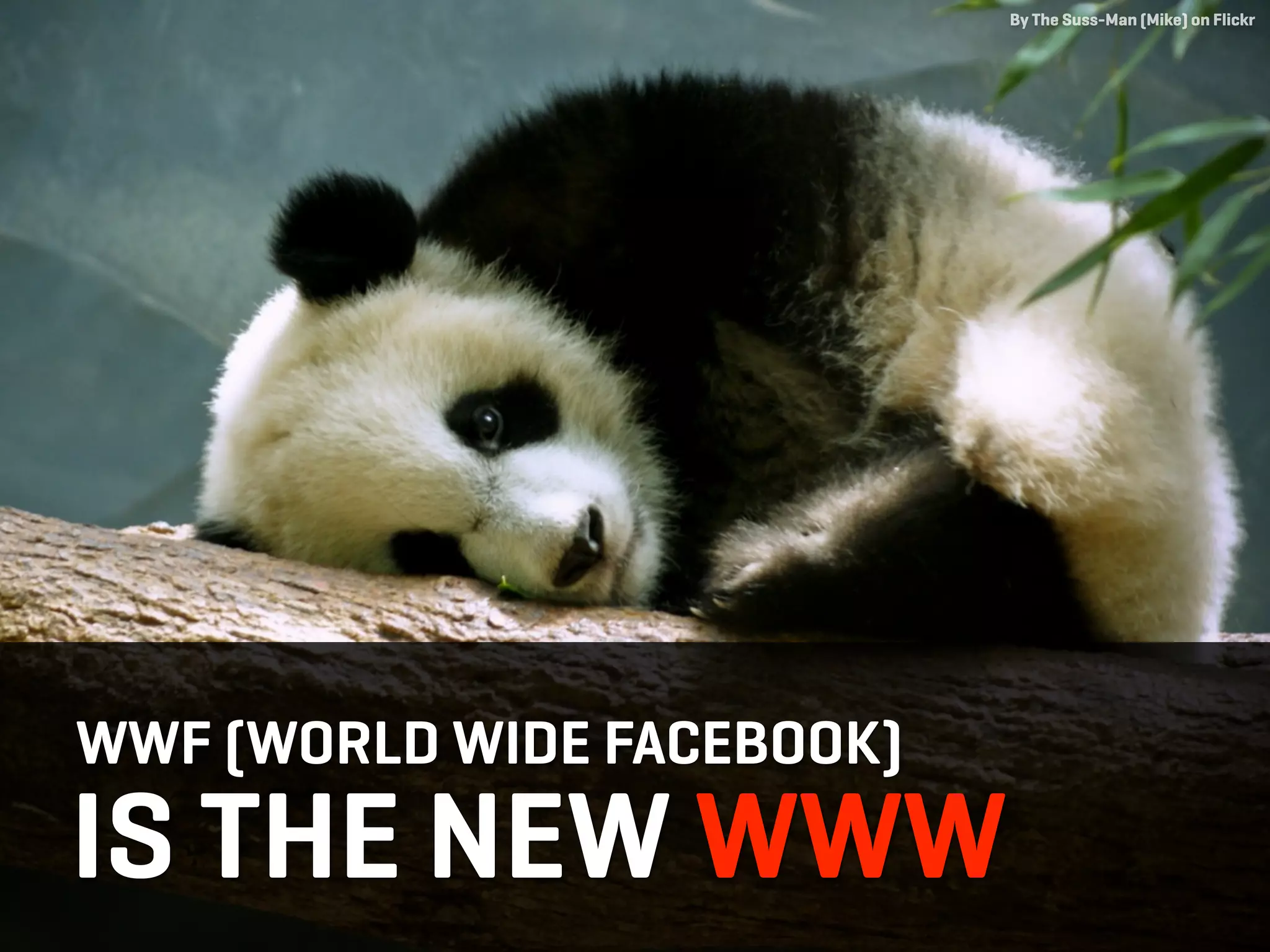 By The Suss-Man (Mike) on Flickr




WWF (WORLD WIDE FACEBOOK)
IS THE NEW WWW
 