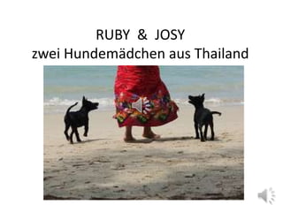 RUBY & JOSY
zwei Hundemädchen aus Thailand
 