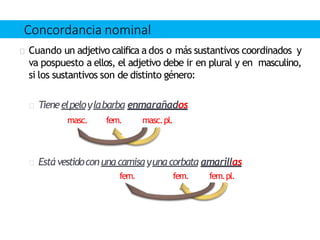 Cuando un adjetivo califica a dos o más sustantivos coordinados y
va pospuesto a ellos, el adjetivo debe ir en plural y en masculino,
si los sustantivos son de distinto género:
Tieneelpeloylabarba enmarañados
masc. fem. masc.pl.
Está vestidoconuna camisayuna corbata amarillas
fem. fem. fem.pl.
Concordancia nominal
 