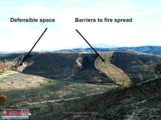 16
PROGETTAZIONE STRUTTURALE
ANTINCENDIO
 