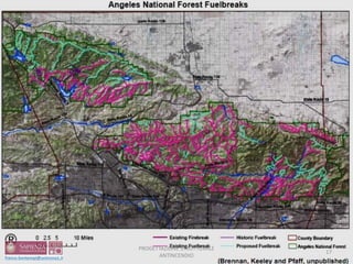 17
PROGETTAZIONE STRUTTURALE
ANTINCENDIO
 