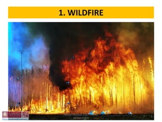 1. WILDFIRE
5
PROGETTAZIONE STRUTTURALE
ANTINCENDIO
 
