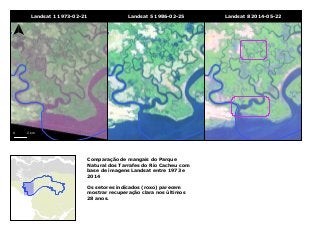 Landsat 1 1973-02-21 
0 2 km 
Landsat 5 1986-02-25 Landsat 8 2014-05-22 
Comparação de mangais do Parque 
Natural dos Tarrafes do Rio Cacheu com 
base de imagens Landsat entre 1973 e 
2014 
Os setores indicados (roxo) parecem 
mostrar recuperação clara nos últimos 
28 anos. 
