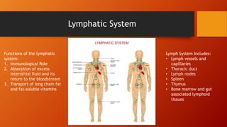 Lymphatic System
Functions of the lymphatic
system:
1. Immunological Role
2. Absorption of excess
interstitial fluid and its
return to the bloodstream
3. Transport of long chain fat
and fat-soluble vitamins
Lymph System Includes:
• Lymph vessels and
capillaries
• Thoracic duct
• Lymph nodes
• Spleen
• Thymus
• Bone marrow and gut
associated lymphoid
tissues
 