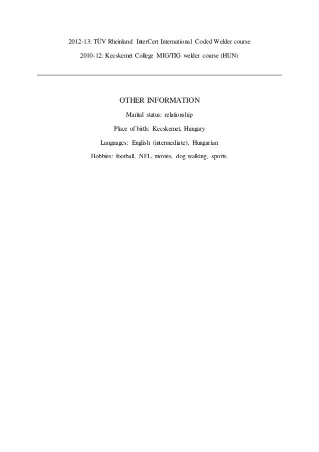 welder cv