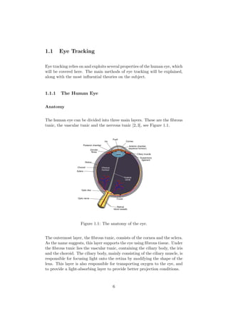 1.1 Eye Tracking
Eye tracking relies on and exploits several properties of the human eye, which
will be covered here. The main methods of eye tracking will be explained,
along with the most inﬂuential theories on the subject.
1.1.1 The Human Eye
Anatomy
The human eye can be divided into three main layers. These are the ﬁbrous
tunic, the vascular tunic and the nervous tunic [2,3], see Figure 1.1.
Figure 1.1: The anatomy of the eye.
The outermost layer, the ﬁbrous tunic, consists of the cornea and the sclera.
As the name suggests, this layer supports the eye using ﬁbrous tissue. Under
the ﬁbrous tunic lies the vascular tunic, containing the ciliary body, the iris
and the choroid. The ciliary body, mainly consisting of the ciliary muscle, is
responsible for focusing light onto the retina by modifying the shape of the
lens. This layer is also responsible for transporting oxygen to the eye, and
to provide a light-absorbing layer to provide better projection conditions.
6
 