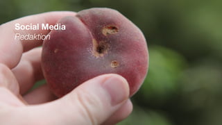 Social Media
Redaktion
 