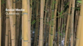 Social Media
Guidelines
 