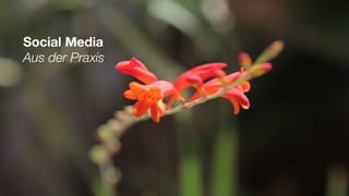 Social Media
Aus der Praxis
 