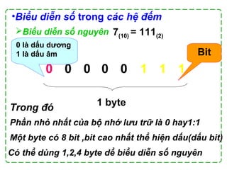 0 0 0 0 0 1 1 1
7(10) = 111(2)
Trong đó
Phần nhỏ nhất của bộ nhớ lưu trữ là 0 hay1:1
Một byte có 8 bit ,bit cao nhất thể hiện dấu(dấu bit)
Bit
1 byte
0 là dấu dương
1 là dấu âm
Có thể dùng 1,2,4 byte dể biểu diễn số nguyên
•Biểu diễn số trong các hệ đếm
Biểu diễn số nguyên
 