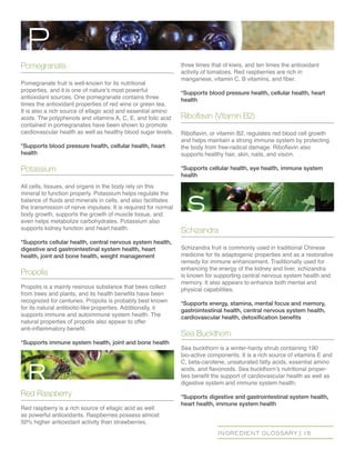 INGREDIENT GLOSSARY | 15
Pomegranate
Pomegranate fruit is well-known for its nutritional
properties, and it is one of nature’s most powerful
antioxidant sources. One pomegranate contains three
times the antioxidant properties of red wine or green tea.
It is also a rich source of ellagic acid and essential amino
acids. The polyphenols and vitamins A, C, E, and folic acid
contained in pomegranates have been shown to promote
cardiovascular health as well as healthy blood sugar levels.
*Supports blood pressure health, cellular health, heart
health
Potassium
All cells, tissues, and organs in the body rely on this
mineral to function properly. Potassium helps regulate the
balance of fluids and minerals in cells, and also facilitates
the transmission of nerve impulses. It is required for normal
body growth, supports the growth of muscle tissue, and
even helps metabolize carbohydrates. Potassium also
supports kidney function and heart health.
*Supports cellular health, central nervous system health,
digestive and gastrointestinal system health, heart
health, joint and bone health, weight management
Propolis
Propolis is a mainly resinous substance that bees collect
from trees and plants, and its health benefits have been
recognized for centuries. Propolis is probably best known
for its natural antibiotic-like properties. Additionally, it
supports immune and autoimmune system health. The
natural properties of propolis also appear to offer
anti-inflammatory benefit.
*Supports immune system health, joint and bone health
Red Raspberry
Red raspberry is a rich source of ellagic acid as well
as powerful antioxidants. Raspberries possess almost
50% higher antioxidant activity than strawberries,
three times that of kiwis, and ten times the antioxidant
activity of tomatoes. Red raspberries are rich in
manganese, vitamin C, B vitamins, and fiber.
*Supports blood pressure health, cellular health, heart
health
Riboflavin (Vitamin B2)
Riboflavin, or vitamin B2, regulates red blood cell growth
and helps maintain a strong immune system by protecting
the body from free-radical damage. Riboflavin also
supports healthy hair, skin, nails, and vision.
*Supports cellular health, eye health, immune system
health
Schizandra
Schizandra fruit is commonly used in traditional Chinese
medicine for its adaptogenic properties and as a restorative
remedy for immune enhancement. Traditionally used for
enhancing the energy of the kidney and liver, schizandra
is known for supporting central nervous system health and
memory. It also appears to enhance both mental and
physical capabilities.
*Supports energy, stamina, mental focus and memory,
gastrointestinal health, central nervous system health,
cardiovascular health, detoxification benefits
Sea Buckthorn
Sea buckthorn is a winter-hardy shrub containing 190
bio-active components. It is a rich source of vitamins E and
C, beta-carotene, unsaturated fatty acids, essential amino
acids, and flavonoids. Sea buckthorn’s nutritional proper-
ties benefit the support of cardiovascular health as well as
digestive system and immune system health.
*Supports digestive and gastrointestinal system health,
heart health, immune system health
P
r
s
 