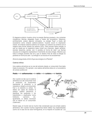 21
Bases de la Ecología
El diagrama anterior muestra cómo la energía (flechas gruesas) y los nutrientes
inorgánicos (flechas delgadas) fluyen a través del ecosistema. Debemos,
primeramente, aclarar algunos conceptos. La energía "fluye" a través del
ecosistema como enlaces carbono-carbono. Cuando ocurre la respiración
celular, los enlaces carbono-carbono se rompen y el carbono se combina con el
oxígeno para formar dióxido de carbono (CO2). Este proceso libera energía, la
que es usada por el organismo (para mover sus músculos, digerir alimento,
excretar desechos, pensar, etc.) o perdida en forma de calor. Las flechas
oscuras en el diagrama representa el movimiento de esta energía. Observe que
toda la energía proviene del sol y que el destino final de toda la energía es
perderse en forma de calor. ¡La energía no se recicla en los ecosistemas!
Ahora te preguntarás ¿Cómo fluye esa energía en el Planeta?
Cadenas tróficas
Una cadena alimenticia es la ruta del alimento desde un consumidor final dado
hasta el productor. Por ejemplo, una cadena alimenticia típica en un ecosistema
de campo pudiera ser:
Pasto ---> saltamontes --> ratón ---> culebra ---> halcón
Aún cuando se dijo que la cadena
alimenticia es del consumidor final
al productor, se acostumbra
representar al productor a la
izquierda (o abajo) y al consumidor
final a la derecha (o arriba). Tú
debes ser capaz de analizar la
anterior cadena alimenticia e
identificar los autótrofos y los
heterótrofos y clasificarlos como
herbívoro, carnívoro, etc.
Igualmente, lo debes reconocer
que el halcón es un consumidor
cuaternario.
Desde luego, el mundo real es mucho más complicado que una simple cadena
alimenticia. Aún cuando muchos organismos tienen dietas muy especializadas
(como es el caso de los osos hormigueros), en la mayoría no sucede así. Los
 