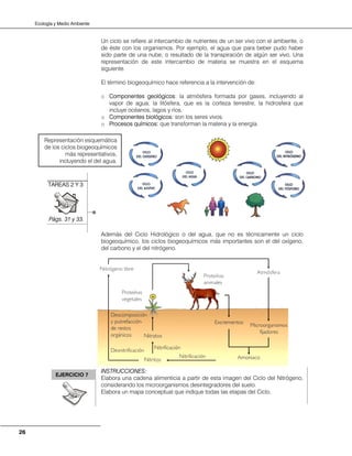 Ecología y Medio Ambiente
26
Un ciclo se refiere al intercambio de nutrientes de un ser vivo con el ambiente, o
de éste con los organismos. Por ejemplo, el agua que para beber pudo haber
sido parte de una nube, o resultado de la transpiración de algún ser vivo. Una
representación de este intercambio de materia se muestra en el esquema
siguiente.
El término biogeoquímico hace referencia a la intervención de:
o Componentes geológicos: la atmósfera formada por gases, incluyendo al
vapor de agua; la litósfera, que es la corteza terrestre; la hidrosfera que
incluye océanos, lagos y ríos.
o Componentes biológicos: son los seres vivos.
o Procesos químicos: que transforman la materia y la energía.
Además del Ciclo Hidrológico o del agua, que no es técnicamente un ciclo
biogeoquímico, los ciclos biogeoquímicos más importantes son el del oxígeno,
del carbono y el del nitrógeno.
INSTRUCCIONES:
Elabora una cadena alimenticia a partir de esta imagen del Ciclo del Nitrógeno,
considerando los microorganismos desintegradores del suelo.
Elabora un mapa conceptual que indique todas las etapas del Ciclo.
TAREAS 2 Y 3
Págs. 31 y 33.
Representación esquemática
de los ciclos biogeoquímicos
más representativos,
incluyendo el del agua.
EJERCICIO 7
 