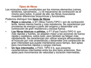 Tipos de fibras
Los músculos están constituidos por los mismos elementos (vainas,
tendones, sarcómeros...) y el mecanismo de contracción es el
mismo para todos. A pesar de ello, las fibras musculares
muestran diferencias bioquímicas y funcionales.
Podemos distinguir tres tipos de fibras:
• Rojas u oscuras, o ST (Slow-Twich)-TIPO I: son de contracción
lenta, tienen menos fuerza y más resistencia. Se caracterizan por
proveerse de energía a partir del oxígeno y desarrollar una
contracción de gran resistencia y escasa fuerza.
• Las fibras blancas o pálidas, o FT (Fast-Twich)-TIPO II: son
más rápidas y fuertes, se adaptan mejor a las acciones de fuerza
rápida y explosiva, sobre todo, pero también se fatigan más
rápidamente. Se caracterizan por utilizar energía almacenada en
el músculo por vías anaeróbicas y desarrollar una contracción de
gran intensidad que puede mantenerse poco tiempo. Son aptas
para movimientos rápidos o cargas intensas.
• Un tipo intermedio, o FGO, TIPO II b, que presenta
características intermedias entre los dos tipos anteriores. Son
aptas para movimientos de velocidad y duración intermedias.
 