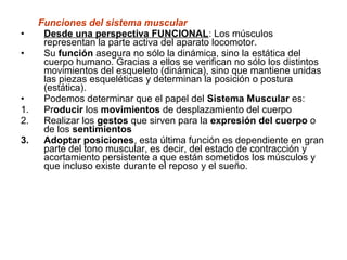 Funciones del sistema muscular
• Desde una perspectiva FUNCIONAL: Los músculos
representan la parte activa del aparato locomotor.
• Su función asegura no sólo la dinámica, sino la estática del
cuerpo humano. Gracias a ellos se verifican no sólo los distintos
movimientos del esqueleto (dinámica), sino que mantiene unidas
las piezas esqueléticas y determinan la posición o postura
(estática).
• Podemos determinar que el papel del Sistema Muscular es:
1. Producir los movimientos de desplazamiento del cuerpo
2. Realizar los gestos que sirven para la expresión del cuerpo o
de los sentimientos
3. Adoptar posiciones, esta última función es dependiente en gran
parte del tono muscular, es decir, del estado de contracción y
acortamiento persistente a que están sometidos los músculos y
que incluso existe durante el reposo y el sueño.
 