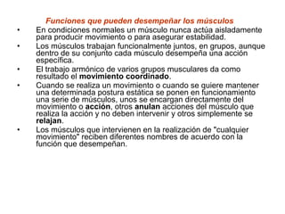 Funciones que pueden desempeñar los músculos
• En condiciones normales un músculo nunca actúa aisladamente
para producir movimiento o para asegurar estabilidad.
• Los músculos trabajan funcionalmente juntos, en grupos, aunque
dentro de su conjunto cada músculo desempeña una acción
específica.
• El trabajo armónico de varios grupos musculares da como
resultado el movimiento coordinado.
• Cuando se realiza un movimiento o cuando se quiere mantener
una determinada postura estática se ponen en funcionamiento
una serie de músculos, unos se encargan directamente del
movimiento o acción, otros anulan acciones del músculo que
realiza la acción y no deben intervenir y otros simplemente se
relajan.
• Los músculos que intervienen en la realización de "cualquier
movimiento" reciben diferentes nombres de acuerdo con la
función que desempeñan.
 