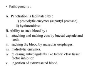 • Pathogenicity :
A. Penetration is facilitated by :
i) proteolytic enzymes (aspartyl protease).
ii) hyaluronidase.
B. Ability to suck blood by :
i. attaching and making cuts by buccal capsule and
teeth.
ii. sucking the blood by muscular esophagus.
iii. hydrolytic enzymes.
iv. releasing anticoagulants like factor VIIa/ tissue
factor inhibitor.
v. ingestion of extravasated blood.
 