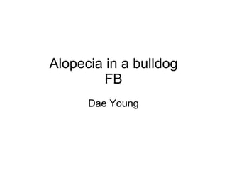 Alopecia in a bulldog FB Dae Young 